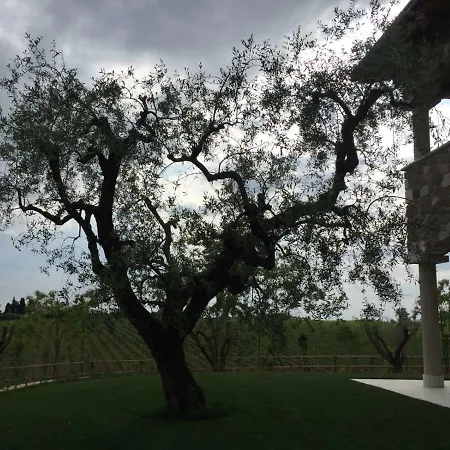 Gasthof Poggio
